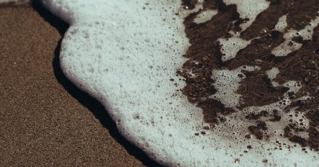 découvrez tout sur la mousse : ses types, usages et avantages dans divers domaines, de la décoration à l'isolation.