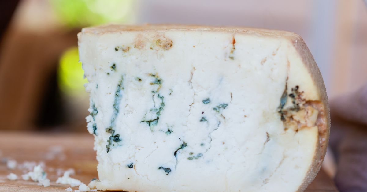 découvrez le fromage à croûte lavée, un délice au goût puissant et à la texture crémeuse, apprécié pour ses arômes uniques et sa richesse en saveurs.
