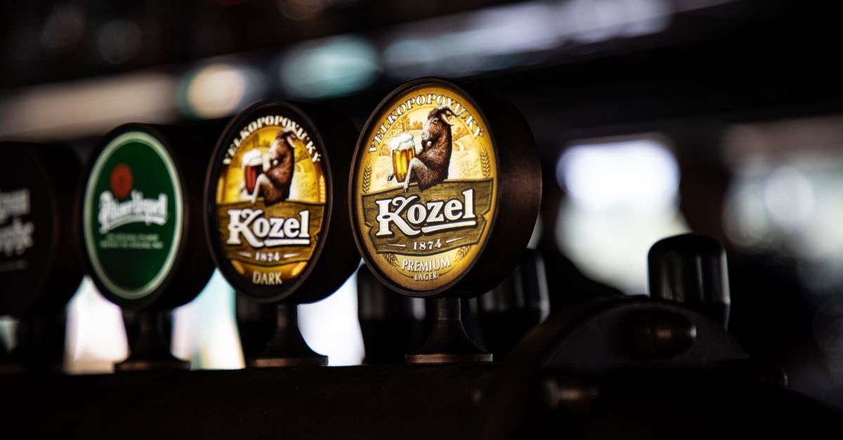 découvrez nos distributeurs de bière pour la maison, parfaits pour savourer une bière fraîche et pression à tout moment chez vous.